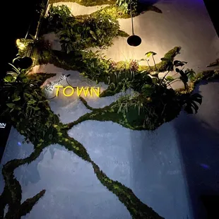 a tree branch with lights