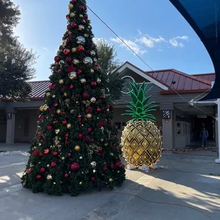 See the pineapple  hiding behind the Christmas  tree?