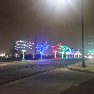 Town Center Plaza:  Outside Entrance, off SE 29th Street:  Christmas Lights