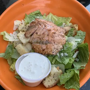 Caesar Salad and a piece of salmon (added separately).