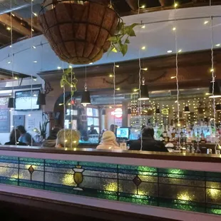 Twinkle lights and plants vines