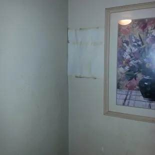 Papered over head sized crater