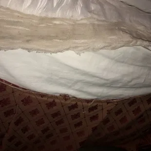 this the one of our covers in Town House Motel.. disgusting right ? we didn't notice til yesterday