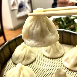 XLB