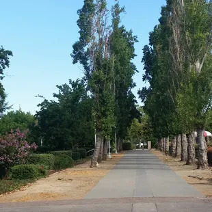 Walkway leading to the park