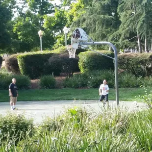 One-half basketball court