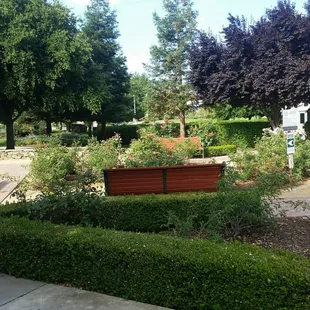 Community Gathering Place