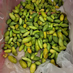 Tindora looks like cucumbers