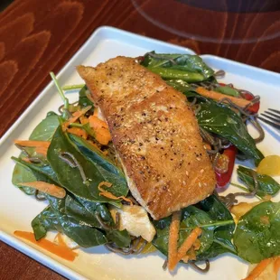 Salmon Tatsoi - Dinner