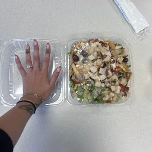 Fattoush Salad with chicken - hand for size reference