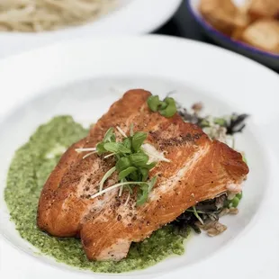 Skuna Bay Salmon