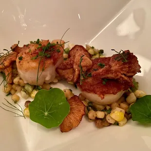 NJ scallops