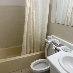 The bathroom needs major help
