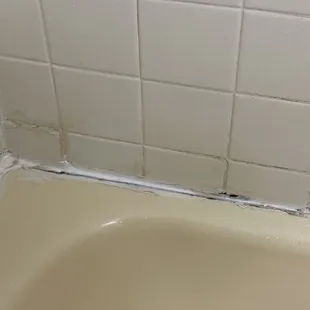 Needs remodeling ASAP