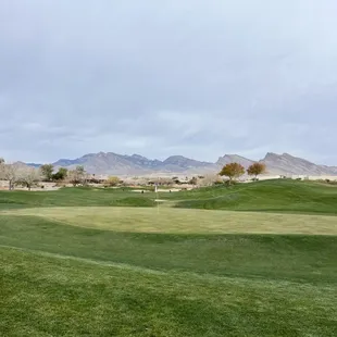 Green grass in Las Vegas