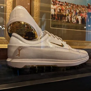 Cool Nike shoes for THE PLAYERS Championship. Located inside The Players Library.