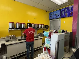 Cool Tea Bar