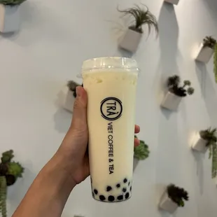 Jasmine Milk Tea