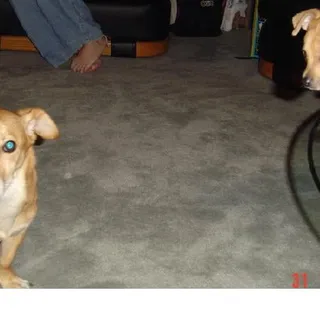 d o.