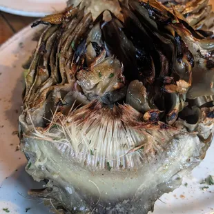 Grilled artichoke, looks like an alien, but really good
