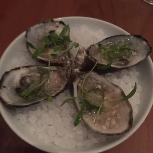 Shigoku Oysters