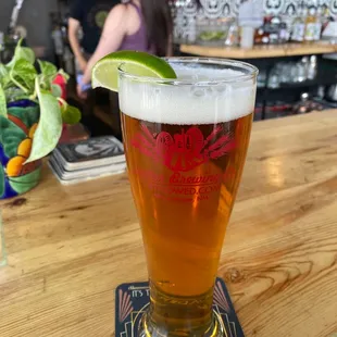 Tractor Brewing Co. New Mexican Lager... Jean Luc and Sydney in the background!