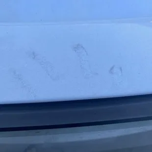 Better picture of truck prints