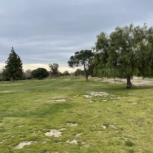 More landscape needed