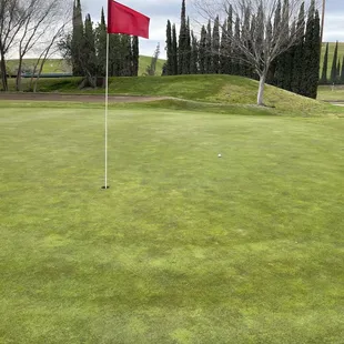 Greens in good shape