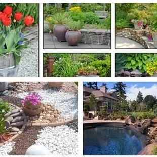 a series of photos of a garden