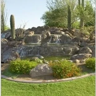 a waterfall in a garden