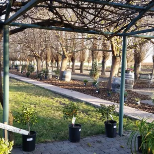 More pictures of nursery after clean up.