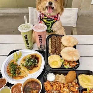 IG @FoodandPooch