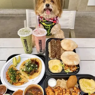 IG @FoodandPooch