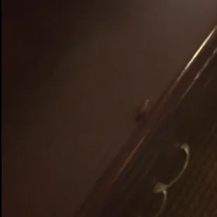 That's a cockroach in my "clean" room!