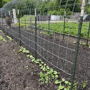 Gardens