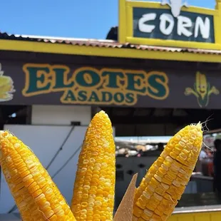 Elotes