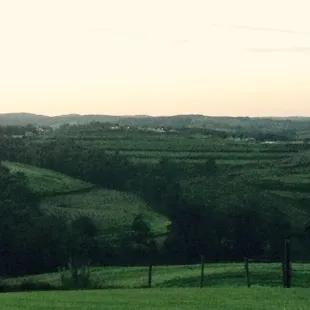 The view out back. Will take better photo in better light next time.