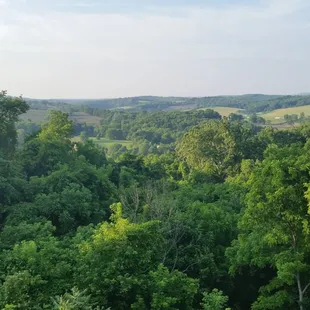 Gorgeous view on the back patio.