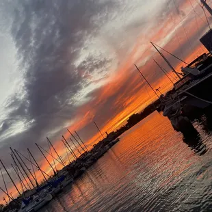 The best booze cruise