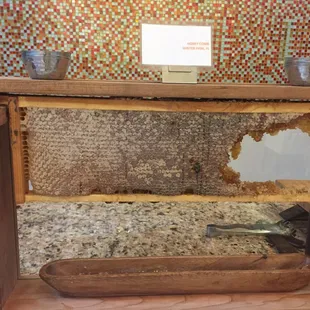 Honey straight from the comb!