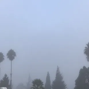 Foggy Vallejo Morning