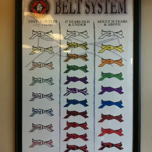 Belt system