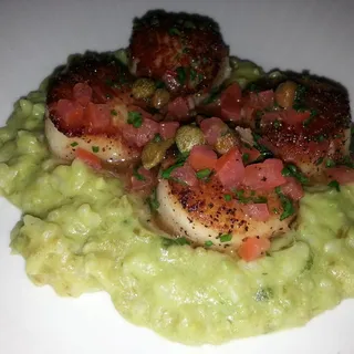 Dayboat Scallops