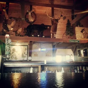 Trails End taxidermy bar
