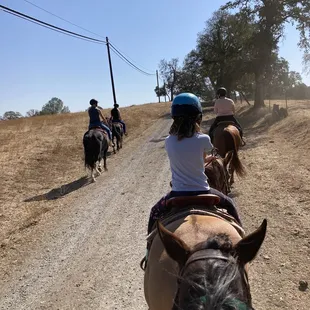 Guided horseback trail rides through a private cattle ranch