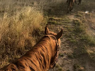Epona Farms