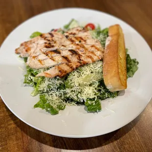 grilled chicken on a bed of salad