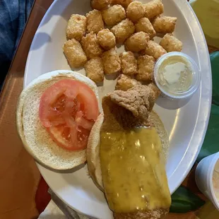 Fish sandwich tater tota and coleslaw