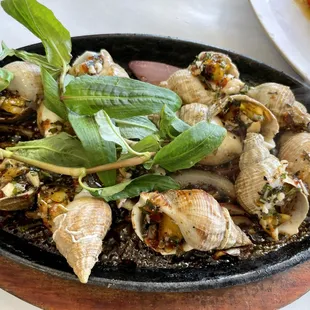 oysters and mussels, oysters, mussels, shellfish, food